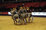 Quadrille - 00824
